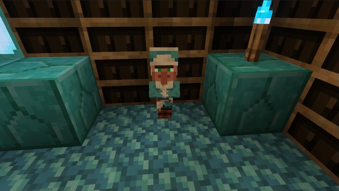 a baby villager with an ice biome outfit, in a prismarine room with empty chiseled bookshelves on the walls