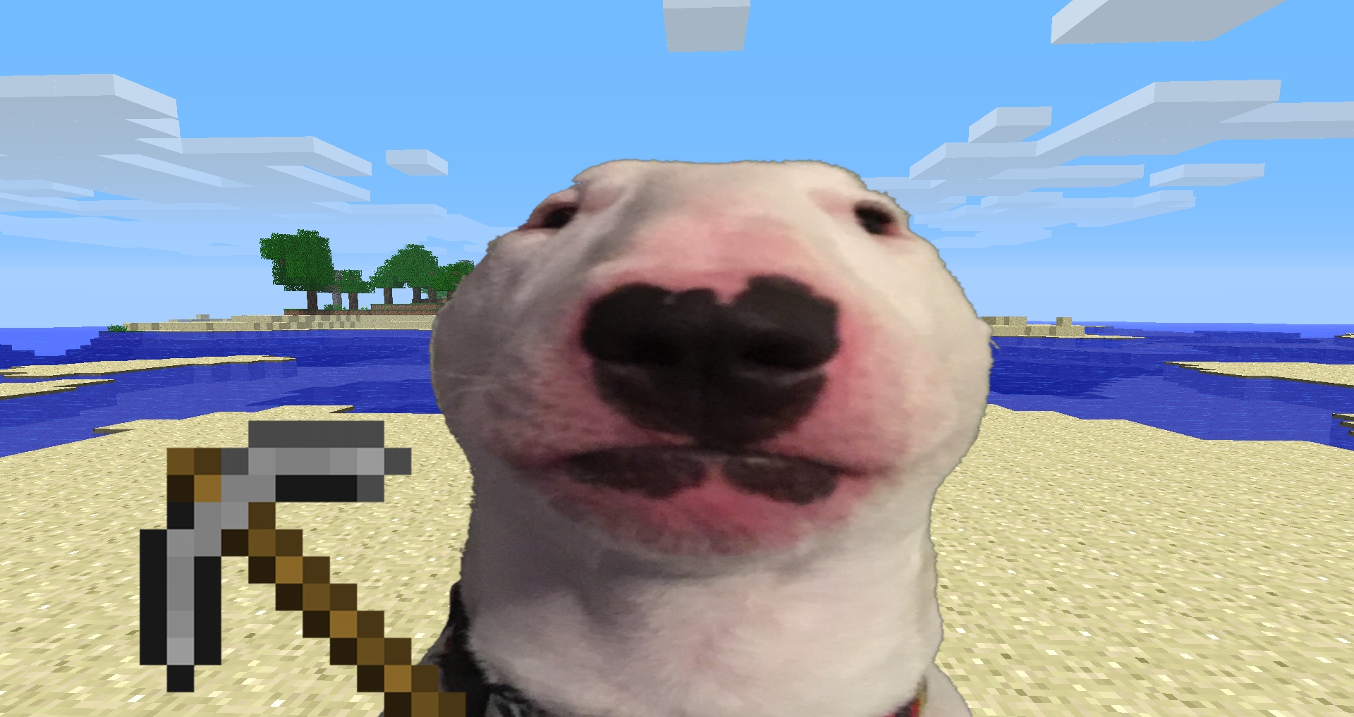 Walter (The funny white dog meme) in Minecraft beta holding a stone pickaxe